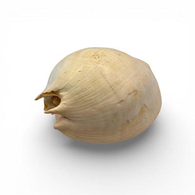 Sale Photo Thumbnail #51