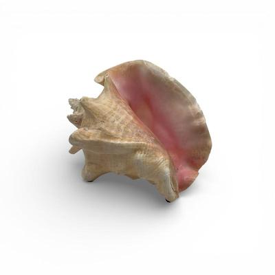 Sale Photo Thumbnail #56