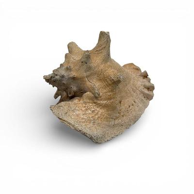 Sale Photo Thumbnail #53