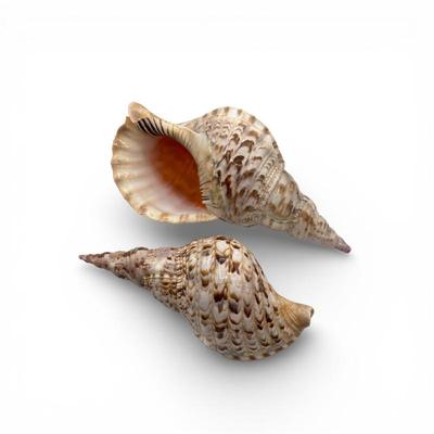 Sale Photo Thumbnail #49