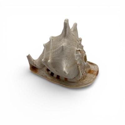 Sale Photo Thumbnail #55