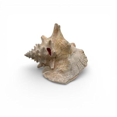 Sale Photo Thumbnail #73