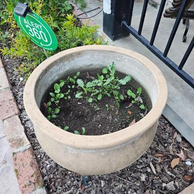 Sale Photo Thumbnail #139