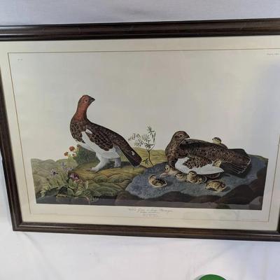 Large Framed Audubon Print...Willow Grous