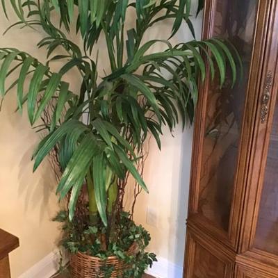 Sale Photo Thumbnail #110