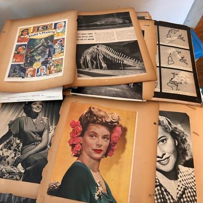 Sale Photo Thumbnail #154