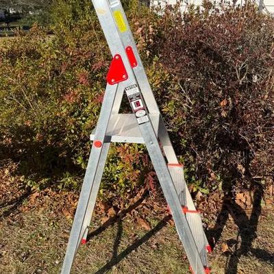 Davidson 3’ Ladder