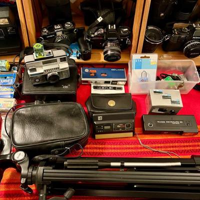 Sale Photo Thumbnail #115