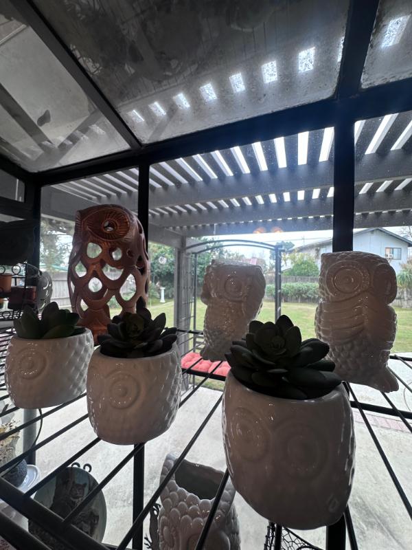 Sale Photo Thumbnail #10