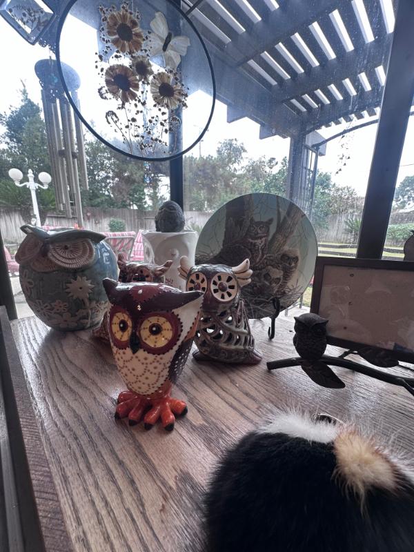 Sale Photo Thumbnail #9