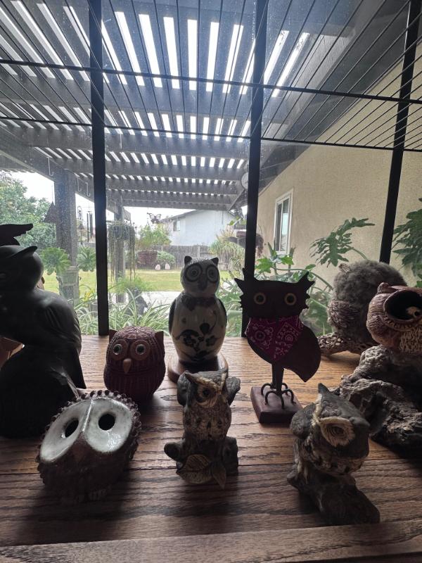 Sale Photo Thumbnail #23