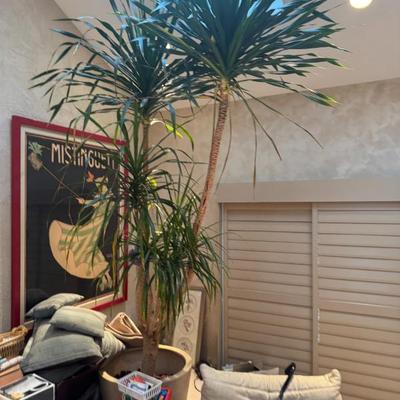 Sale Photo Thumbnail #168