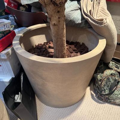 Sale Photo Thumbnail #169