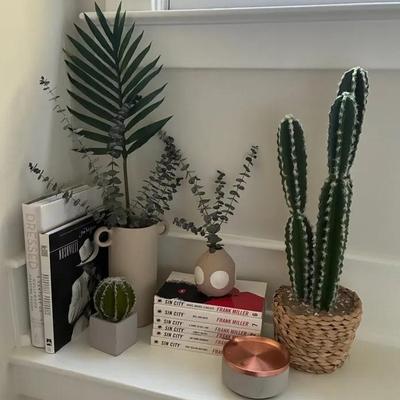 Faux plants and frank miller books