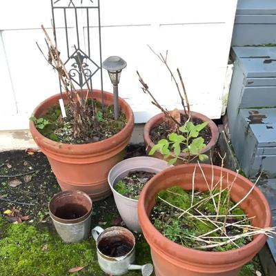 Simple garden pots
