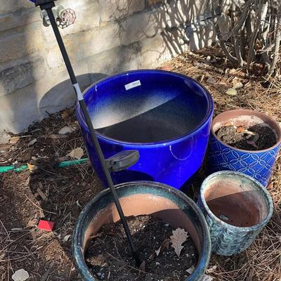Outdoor Potted Blues 