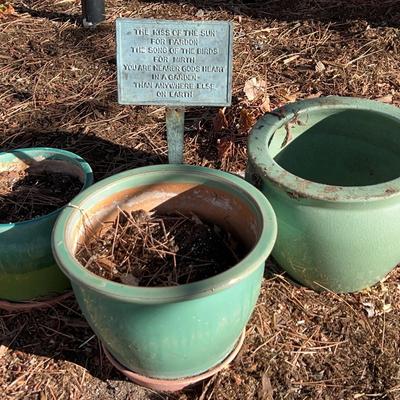 For Your Green Thumb