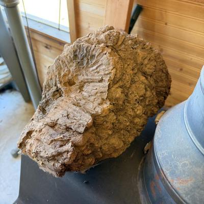 Sale Photo Thumbnail #595