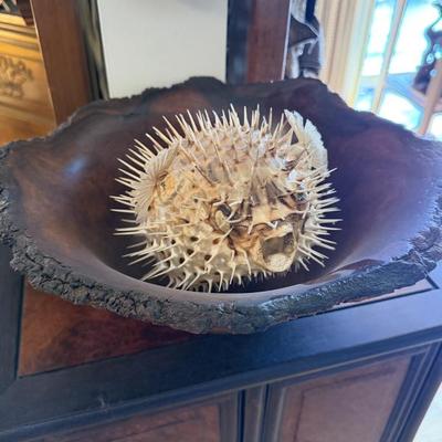 Sale Photo Thumbnail #144