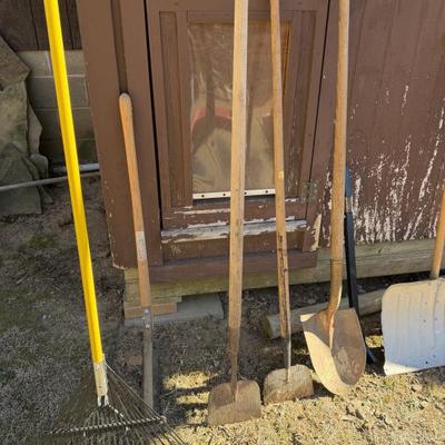 Sale Photo Thumbnail #776