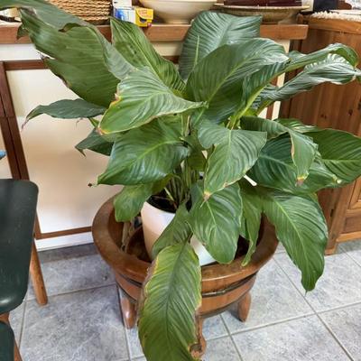 Sale Photo Thumbnail #392