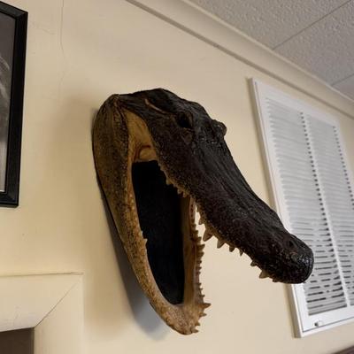 Sale Photo Thumbnail #297