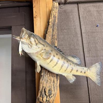 Sale Photo Thumbnail #547