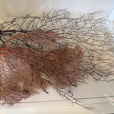 Sale Photo Thumbnail #293