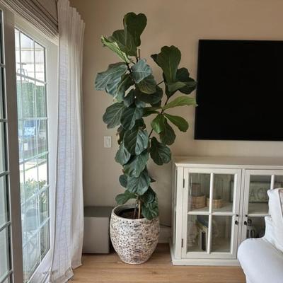 Sale Photo Thumbnail #64