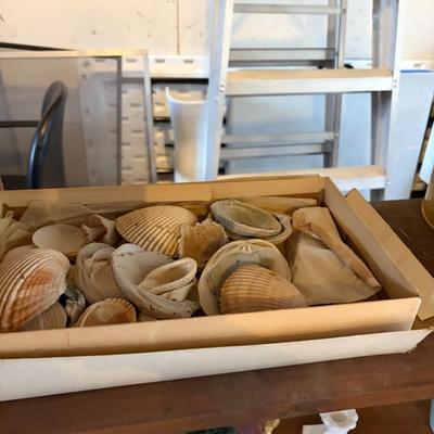 Sale Photo Thumbnail #544