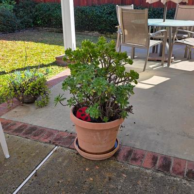 Sale Photo Thumbnail #26