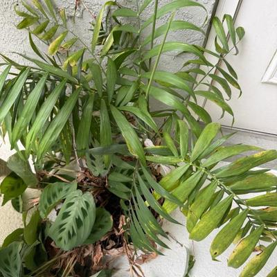 Sale Photo Thumbnail #483