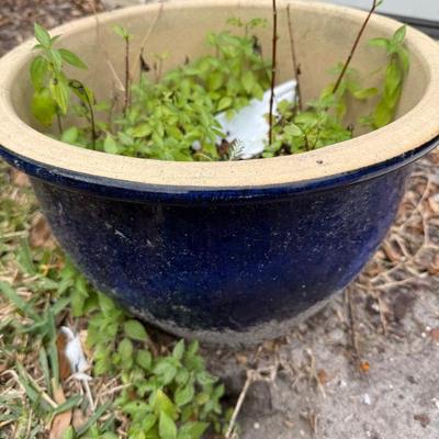 Sale Photo Thumbnail #476