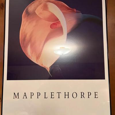 Mapplethorpe Calla Lily 
