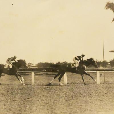 Sale Photo Thumbnail #320