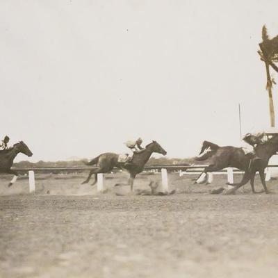 Sale Photo Thumbnail #322