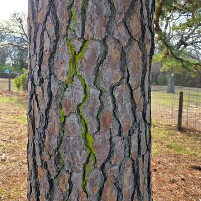 Sale Photo Thumbnail #547