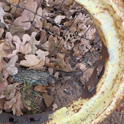 Sale Photo Thumbnail #613