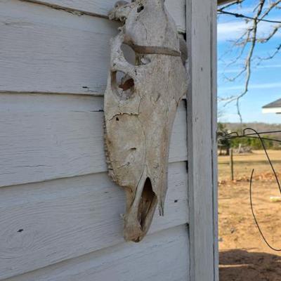 Sale Photo Thumbnail #608