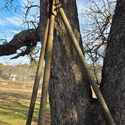 Sale Photo Thumbnail #575