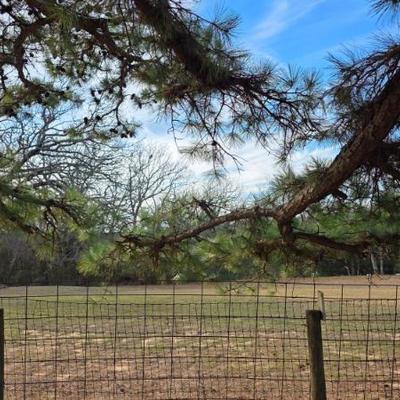 Sale Photo Thumbnail #549