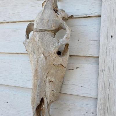 Sale Photo Thumbnail #6