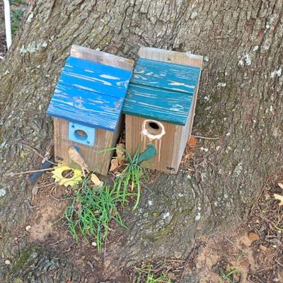 Sale Photo Thumbnail #539