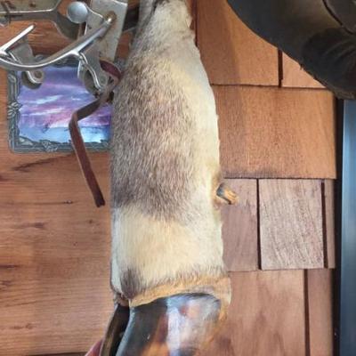 Sale Photo Thumbnail #87