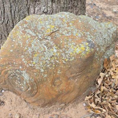 Sale Photo Thumbnail #552