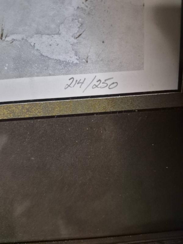 Sale Photo Thumbnail #838