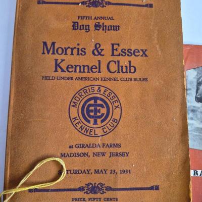 Sale Photo Thumbnail #391