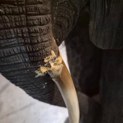 Sale Photo Thumbnail #576