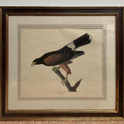 Sale Photo Thumbnail #196