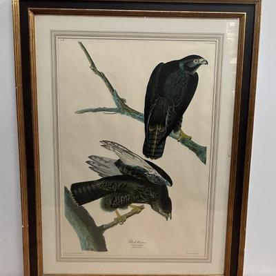 Sale Photo Thumbnail #262